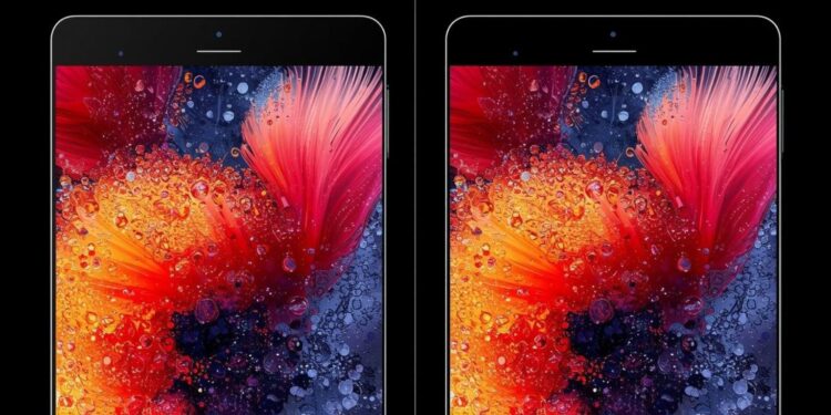 Perbedaan Layar AMOLED dan IPS yang Wajib Kamu Tahu Sebelum Pilih HP Baru